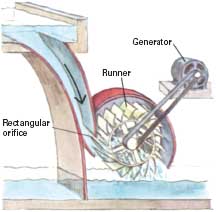 images