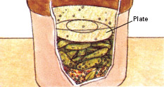 images