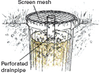 images