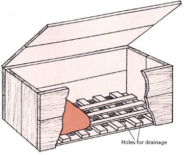 images