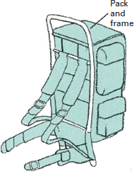 images