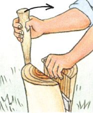 images