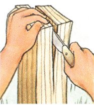 images
