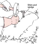 images