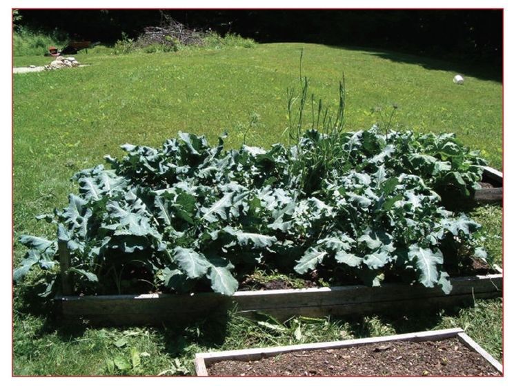 e9781602399846_i0012.jpg