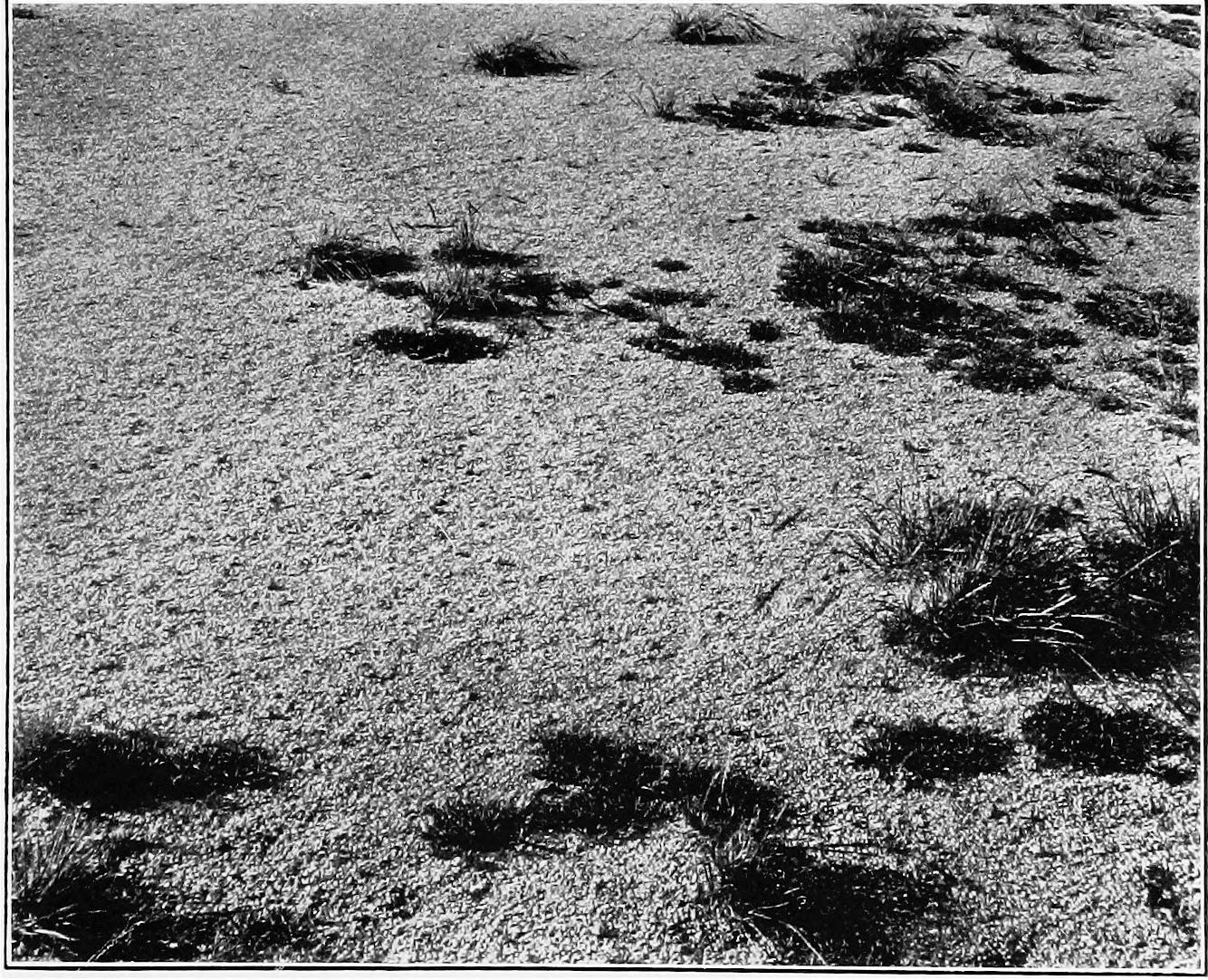 Image 35