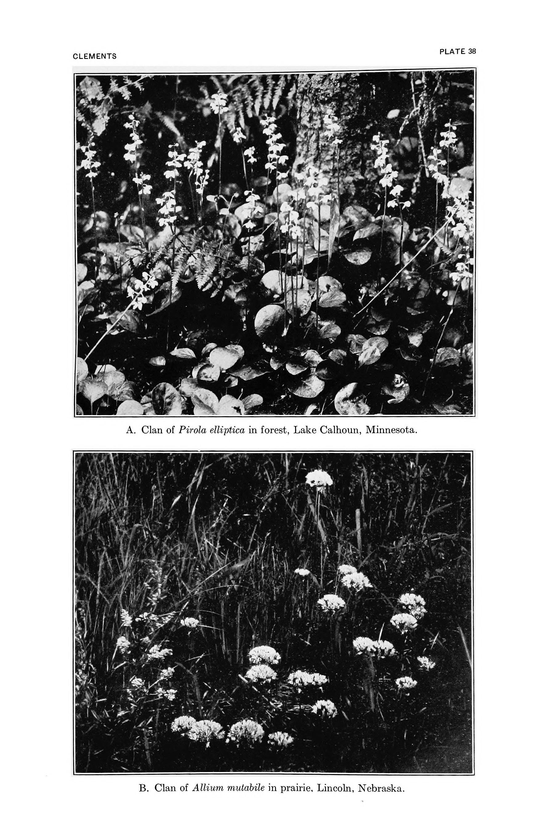 Image 65