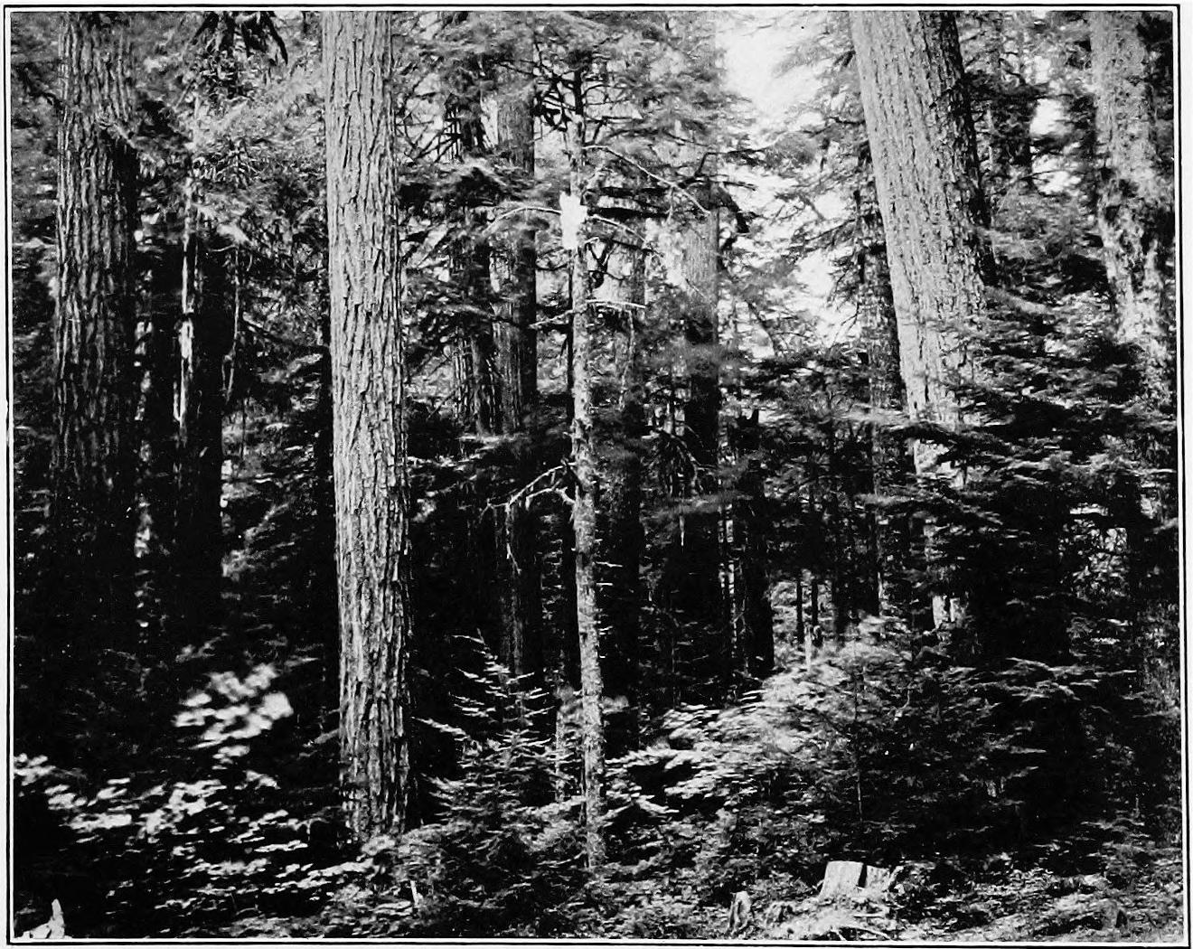Image 79