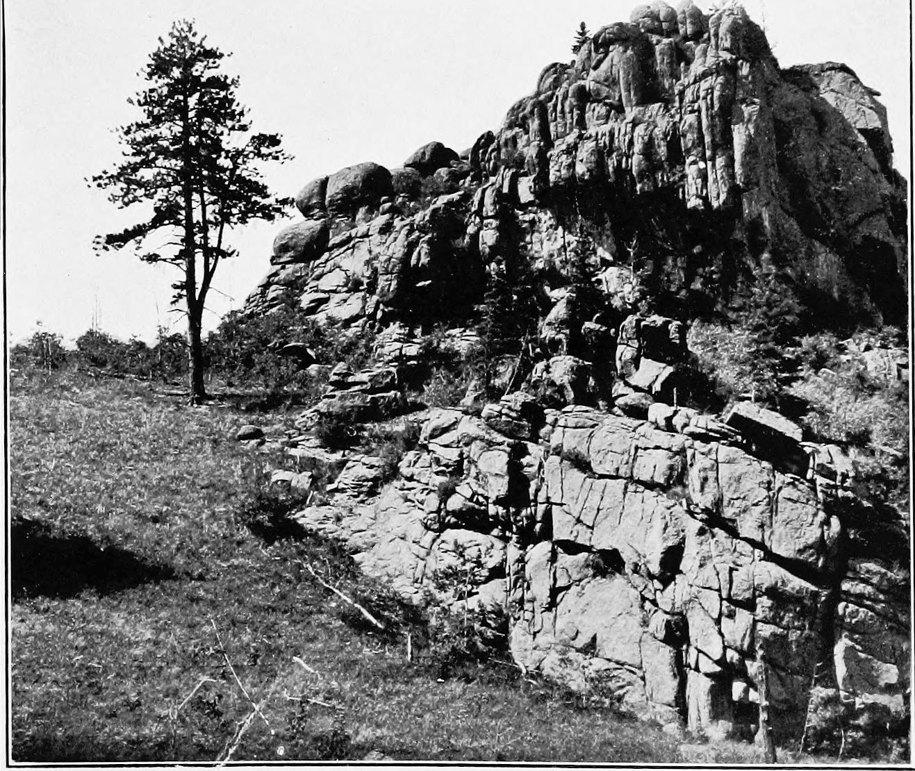 Image 37