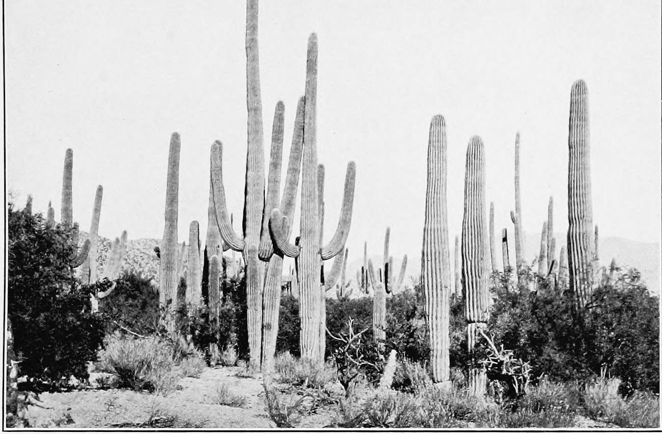 Image 80