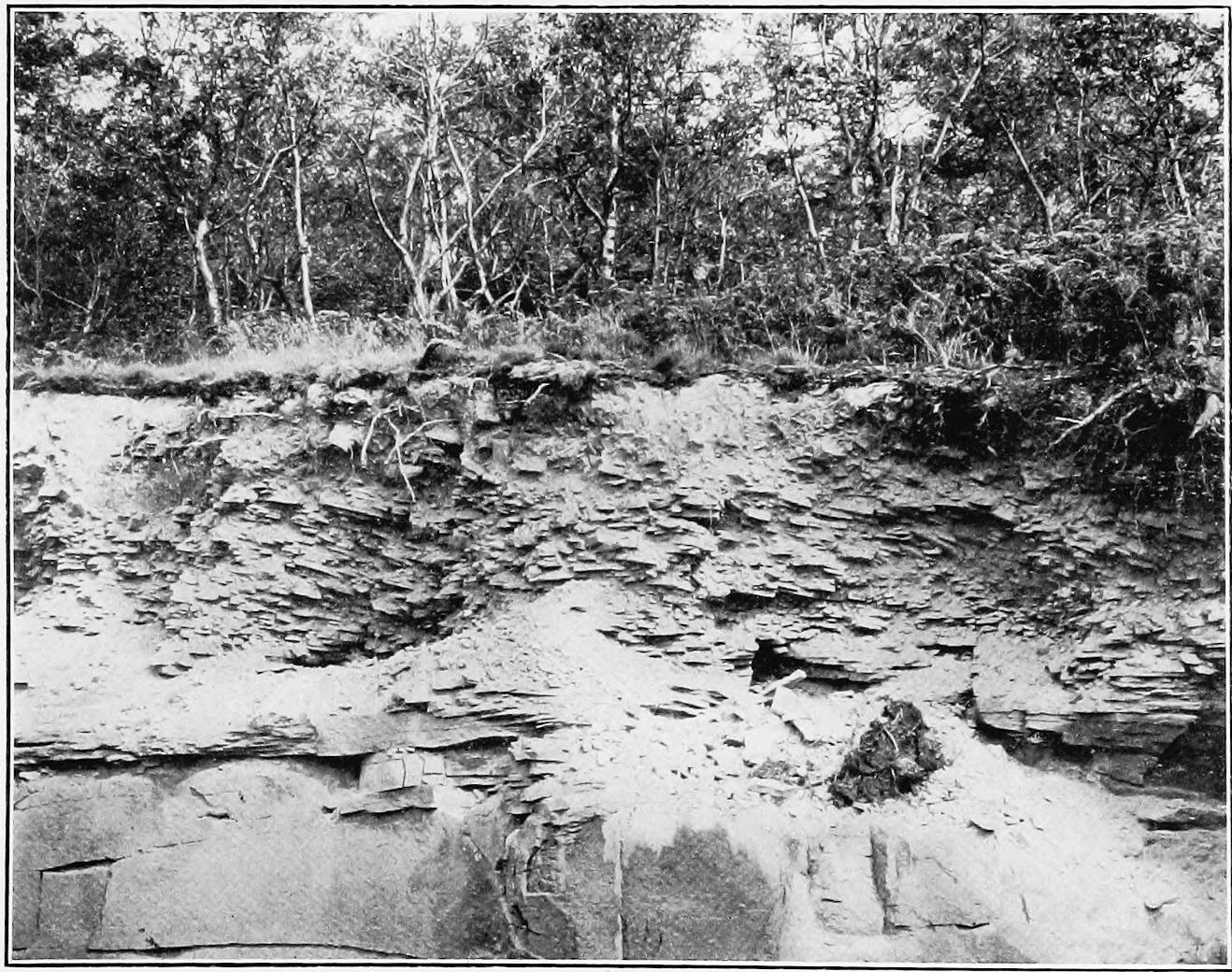 Image 39