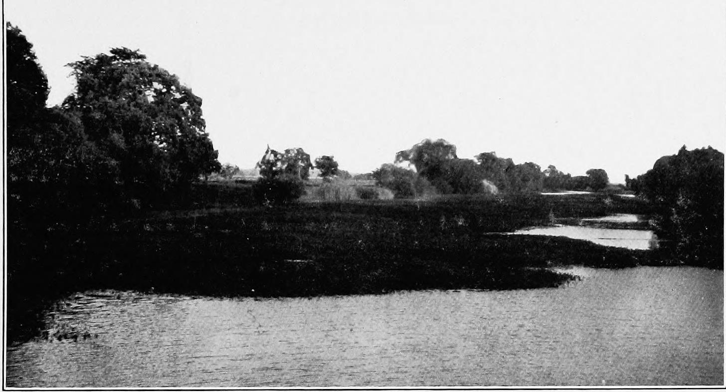 Image 45