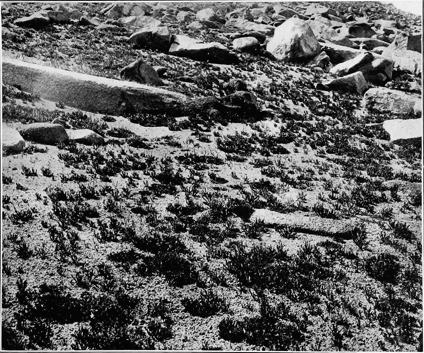 Image 46