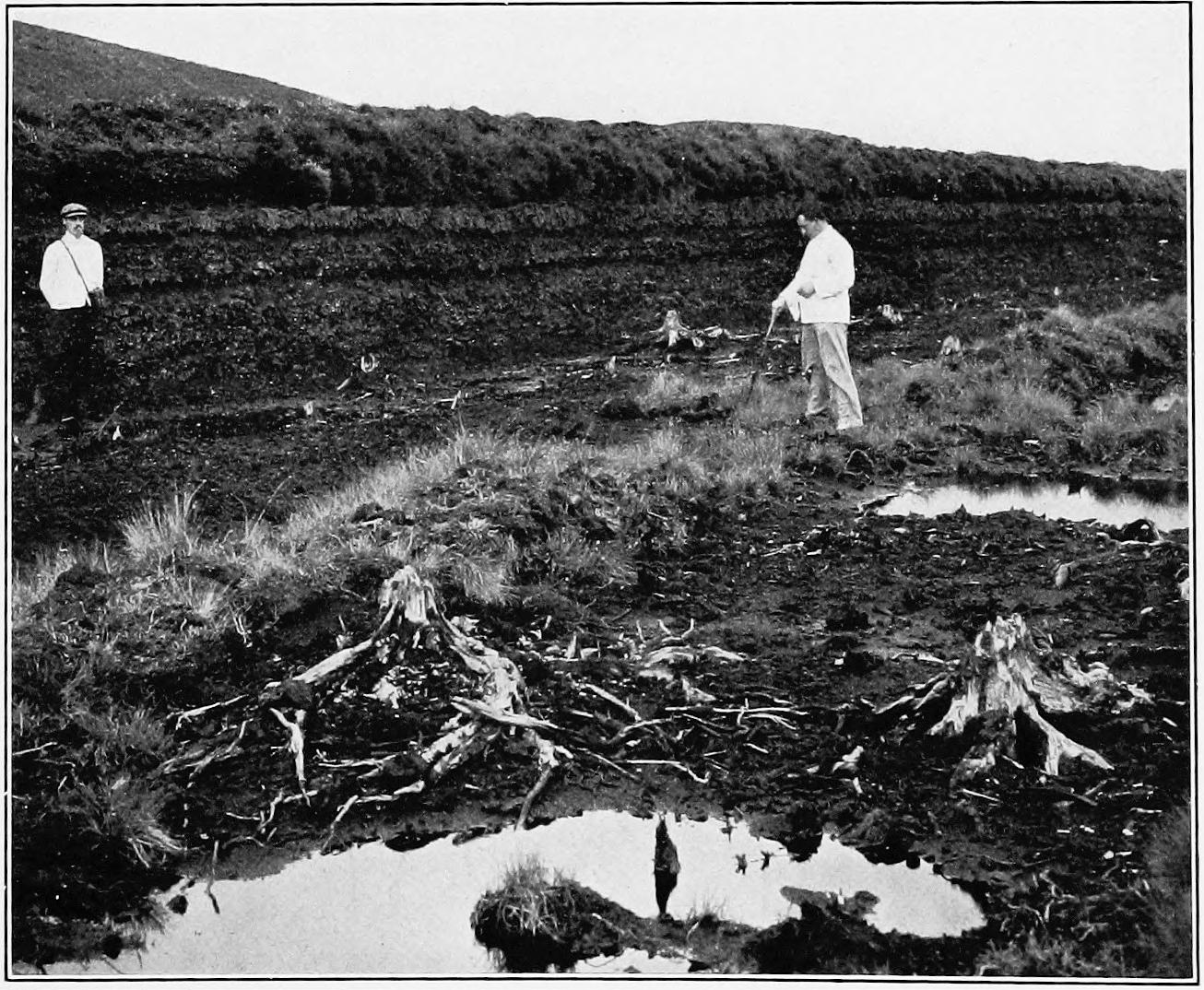 Image 89
