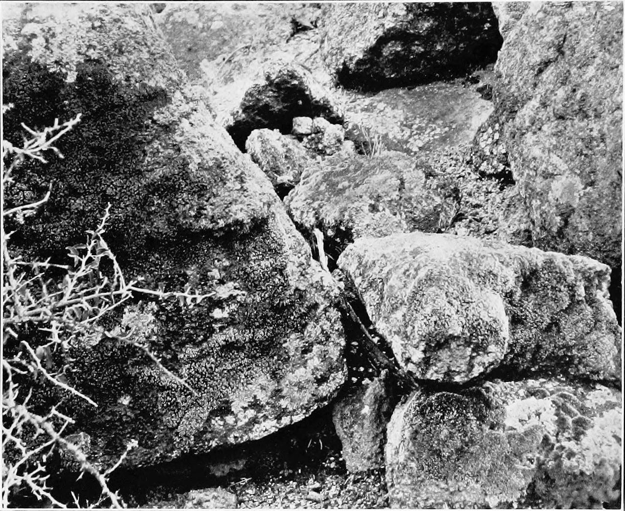 Image 49