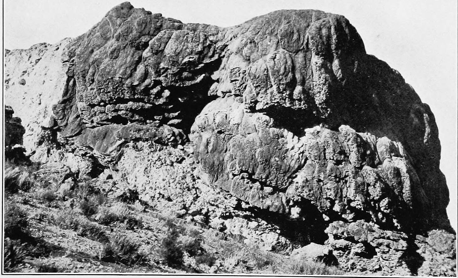 Image 95
