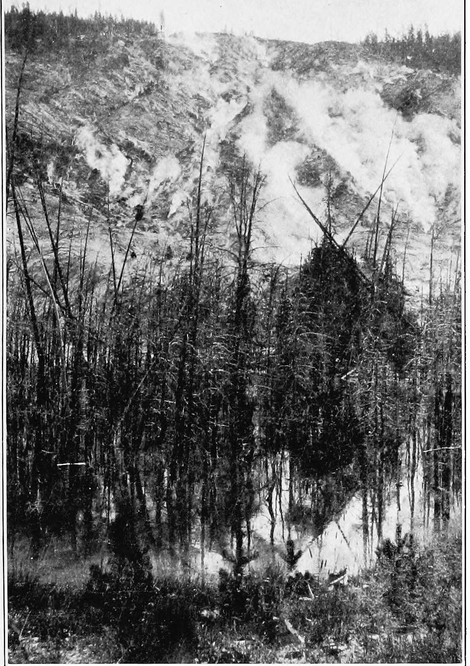 Image 13