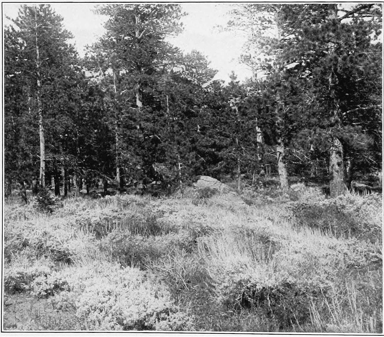 Image 56