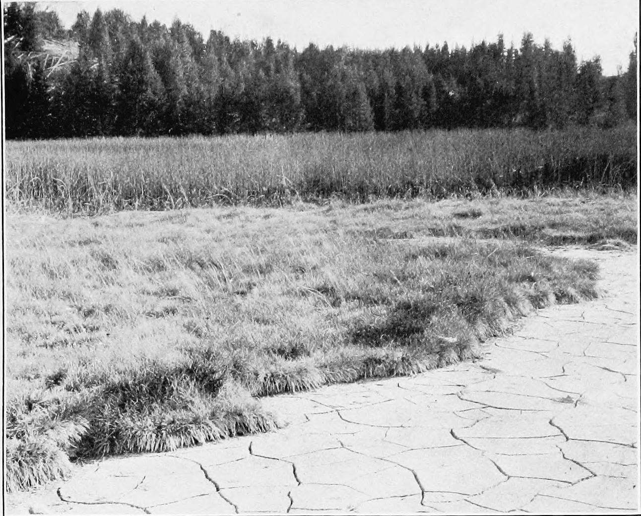 Image 57