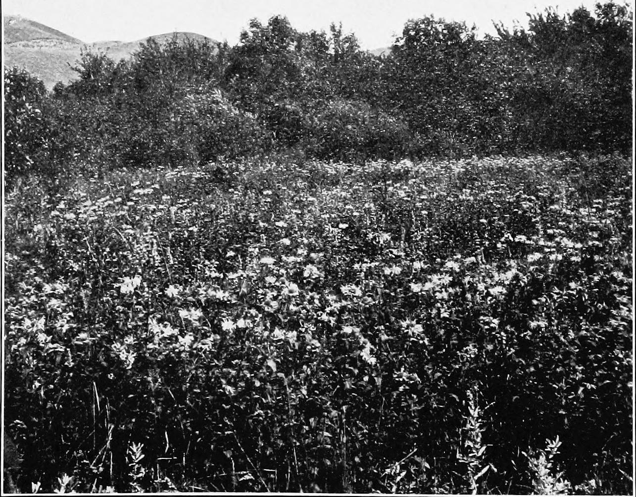 Image 58