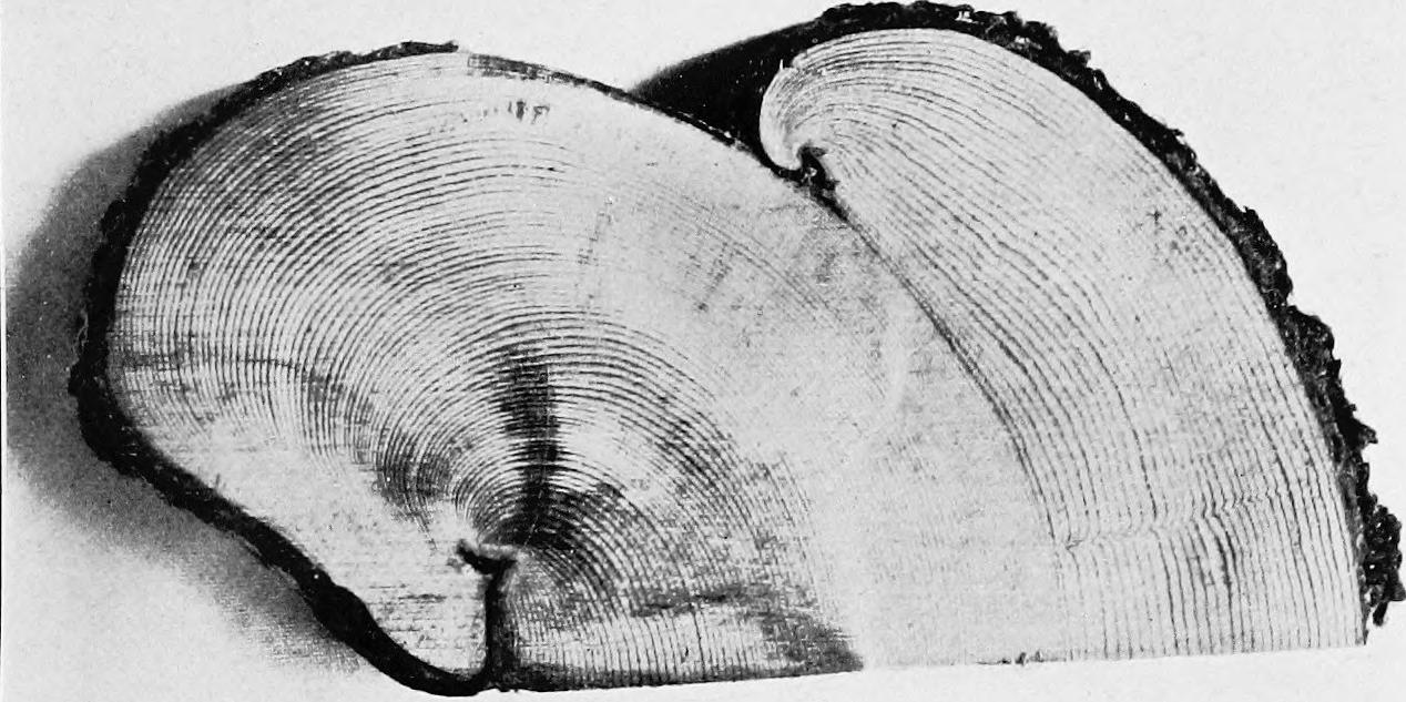 Image 102