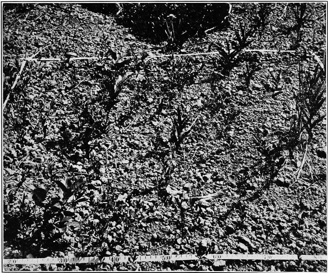 Image 103