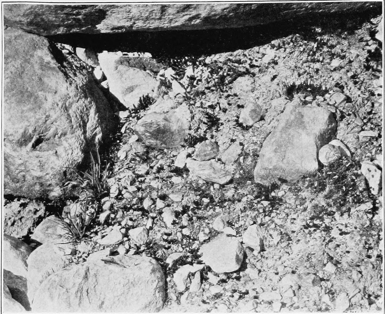 Image 18