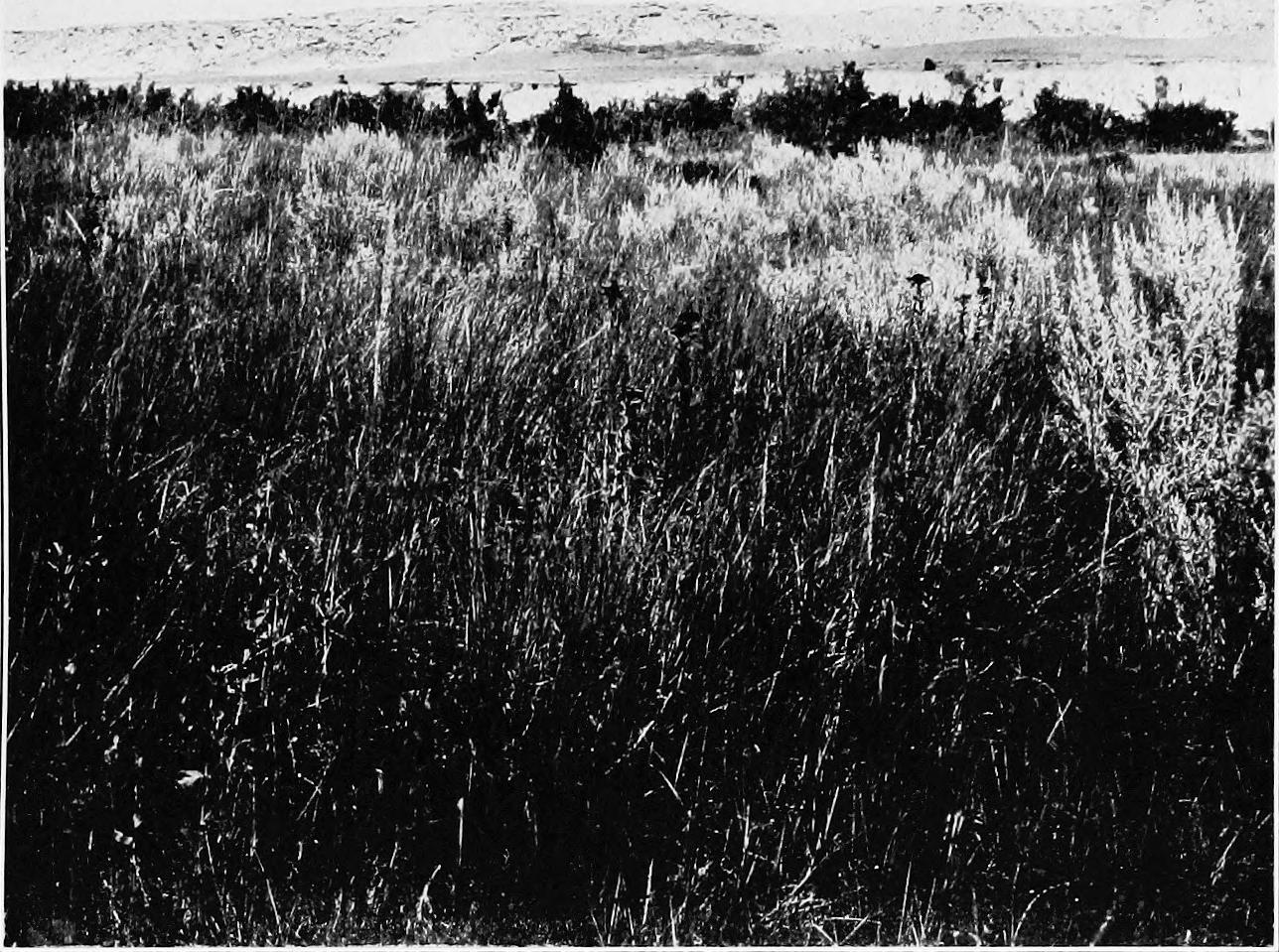 Image 66