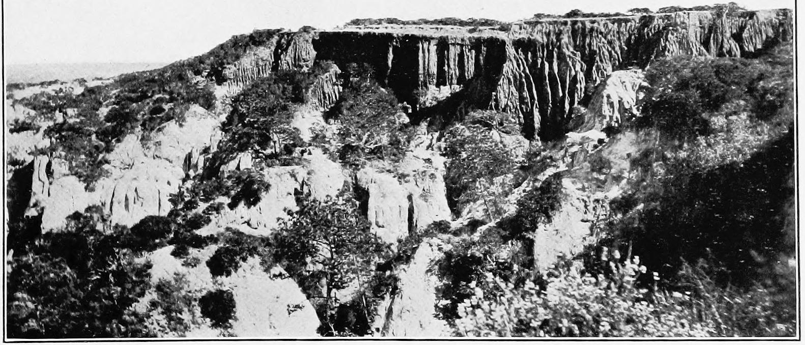Image 23