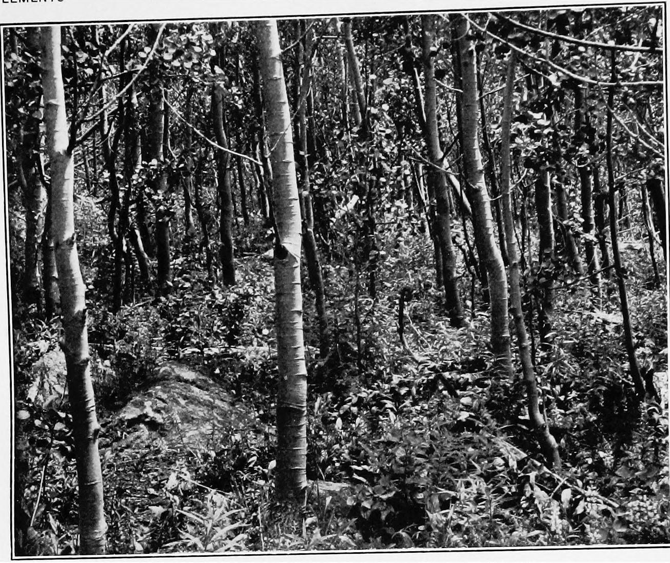 Image 68