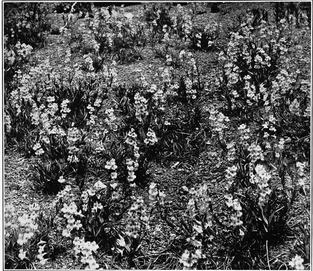 Image 69