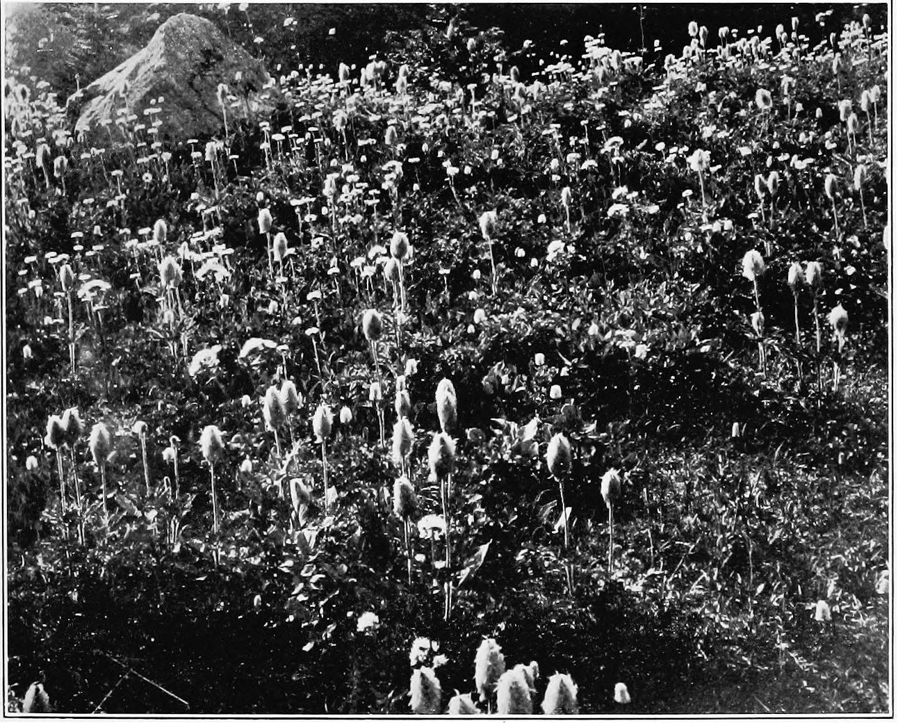 Image 70