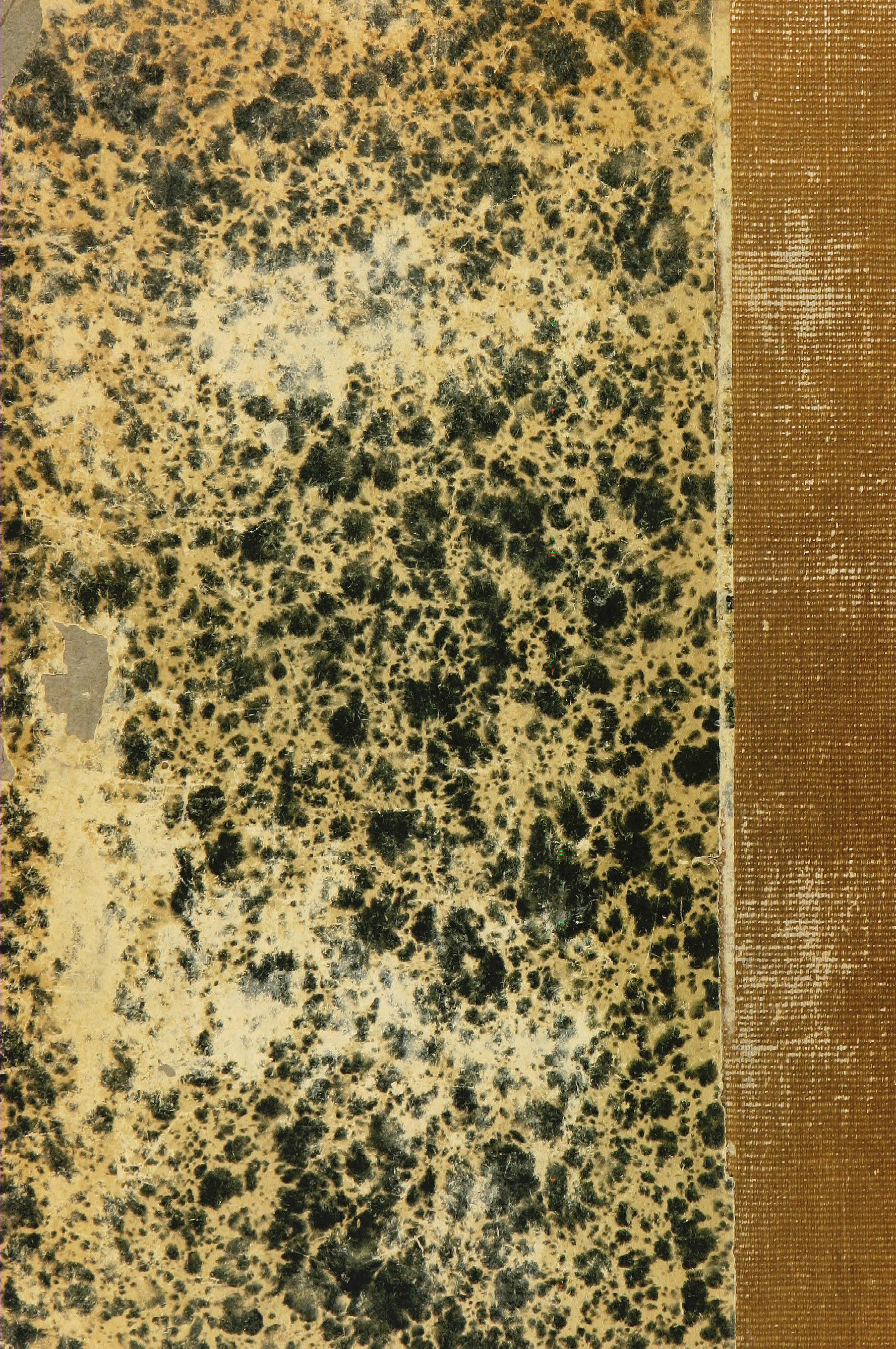 Image 113