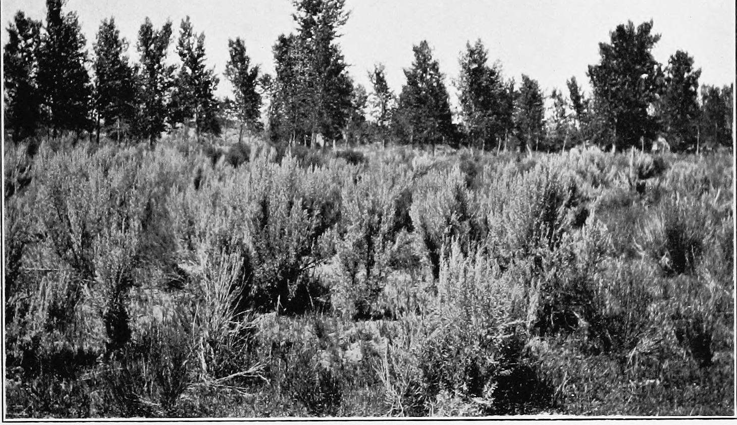 Image 72
