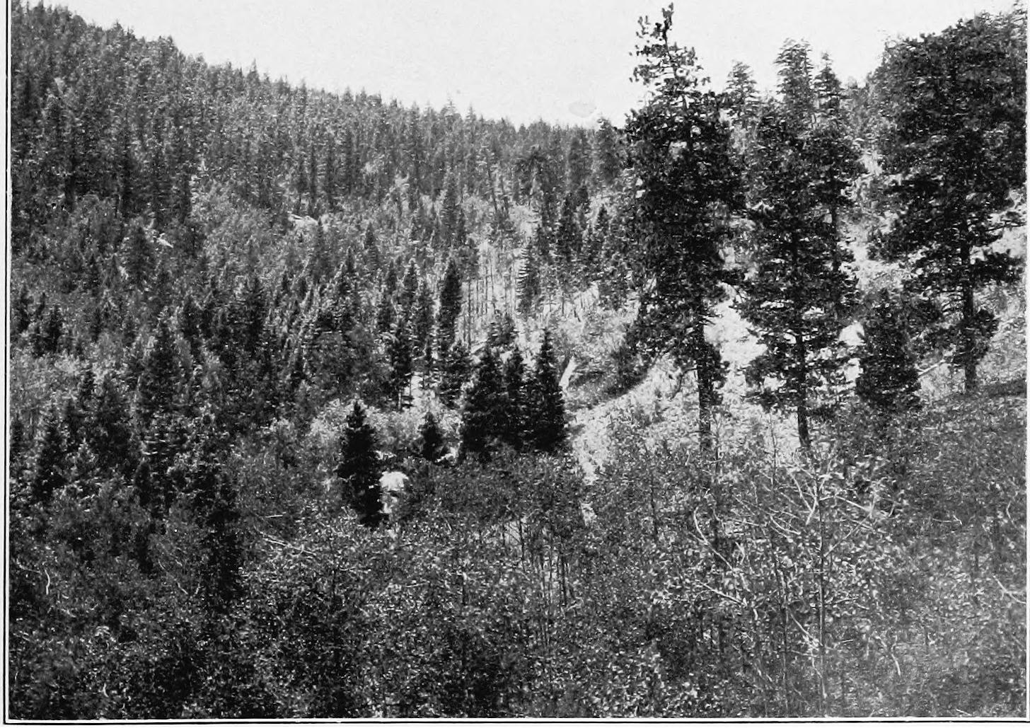 Image 73