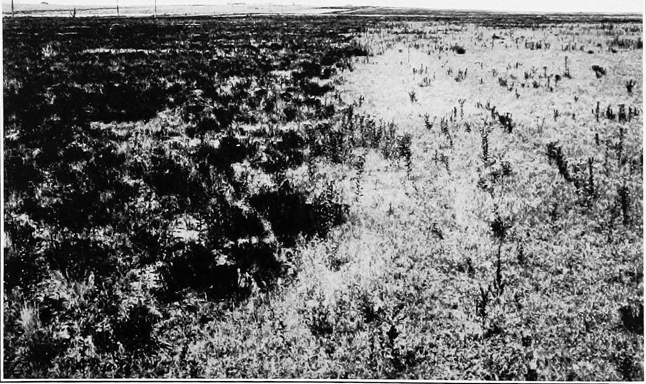 Image 33