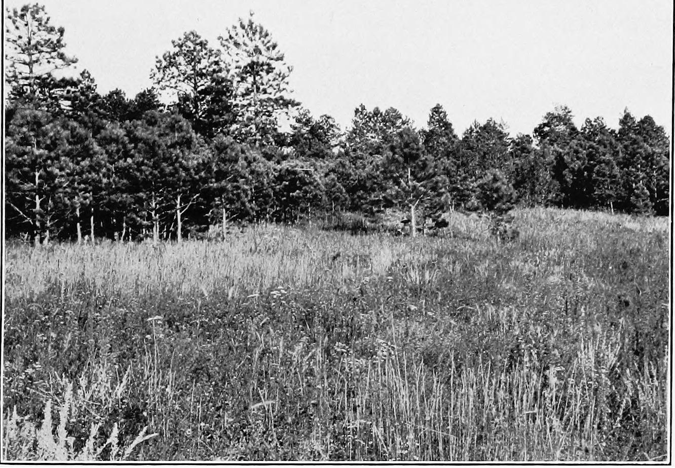 Image 34