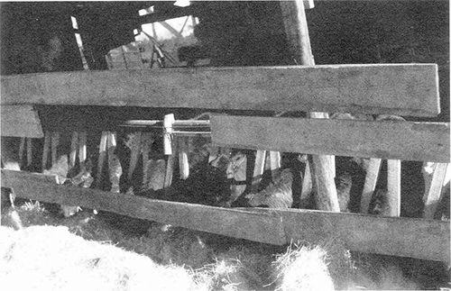 p-225b