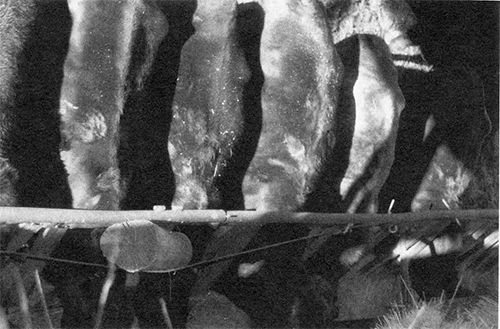 p-226a