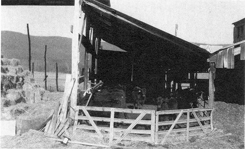 p-226b