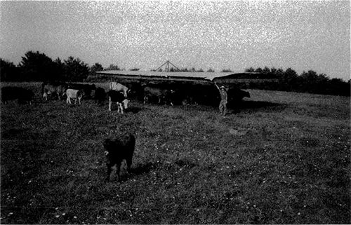 p-70