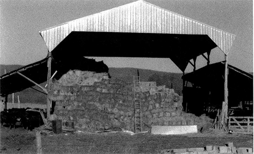 p-223