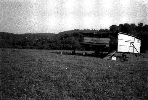 p-184
