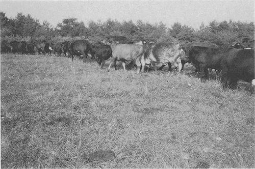 p-140