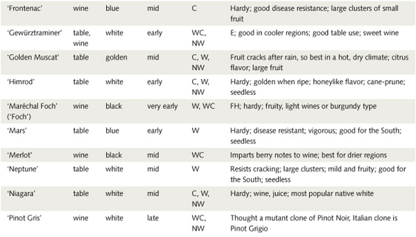 Images