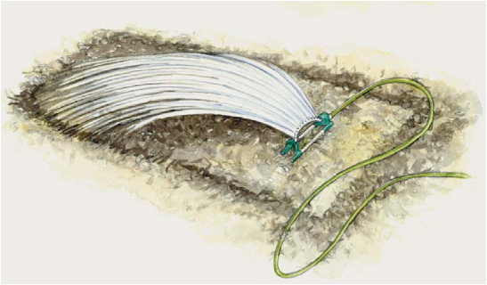 Images