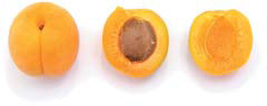 Images