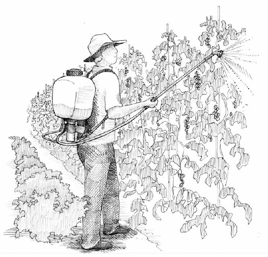 Not all backpack sprayers are of equal quality, and it’s worth spending the extra money to get the best one available. We have been using the same one for many seasons, and because we take the time to rinse it after each use, it still works very well.