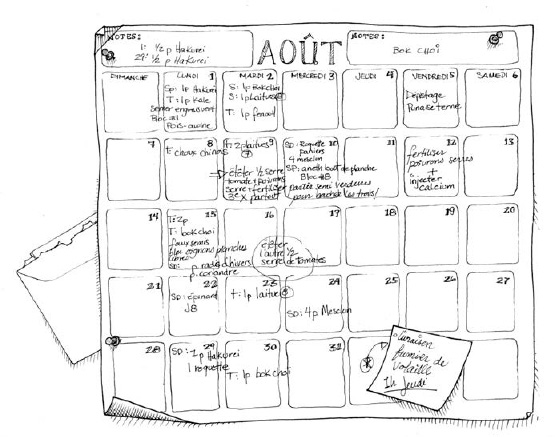 Our crop calendar is crucial for achieving all the planting and upkeep required for our production season. Although there are many ways to organize seeding dates (computerized spreadsheets, specialized software, etc.), we prefer the visual clarity of an at-a-glance paper calendar.