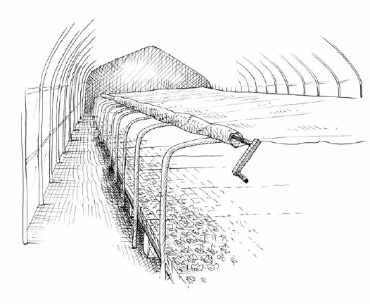 It is a good idea to cover seedlings with a thick floating row cover or even a polyethylene film at night. There are different designs that make it easier to cover and uncover the plants. Thermal screening is an inexpensive way to reduce heating costs.